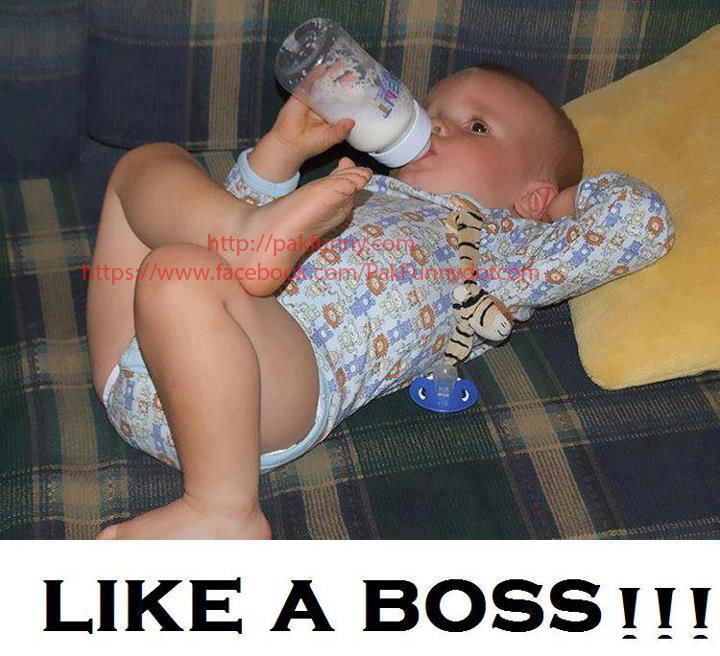 Baby like a boss