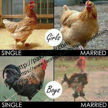 Single Vs Married