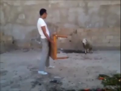 Don’t mess with a goat