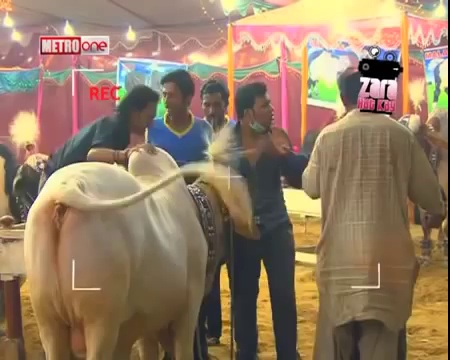 Zara Hut Kay Bakra Eid Pranks