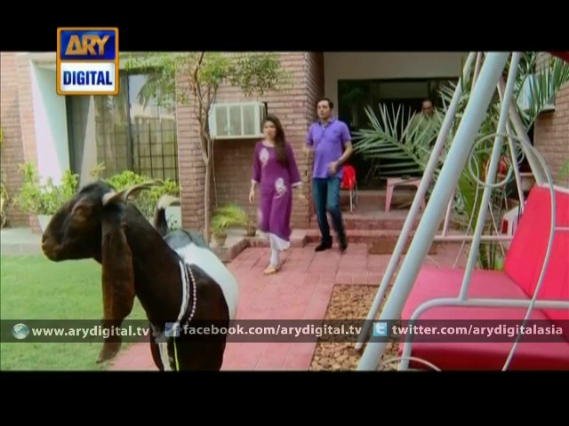 Bulbulay Episode – 259 – Eid Special 1st Day